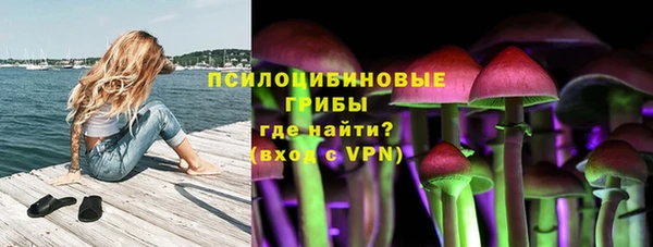 спиды Лагань