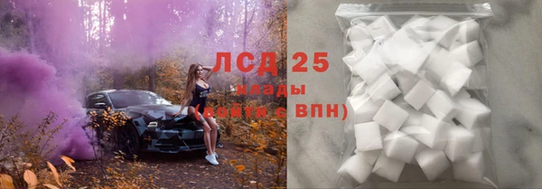 спиды Лагань