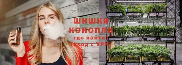 спиды Лагань