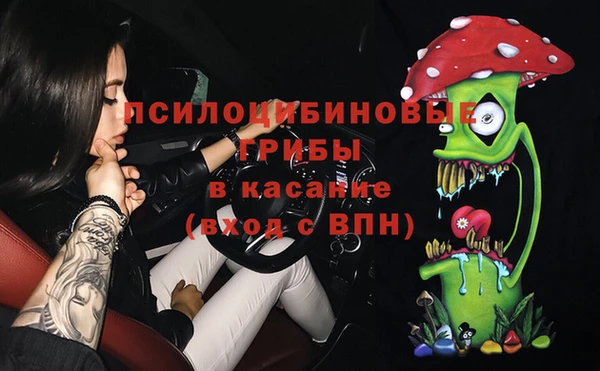 спиды Лагань