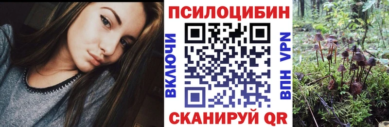 Псилоцибиновые грибы Psilocybe  наркошоп  MEGA ТОР  Щёлкино 
